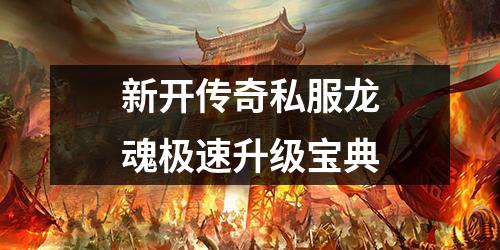 新开传奇私服龙魂极速升级宝典