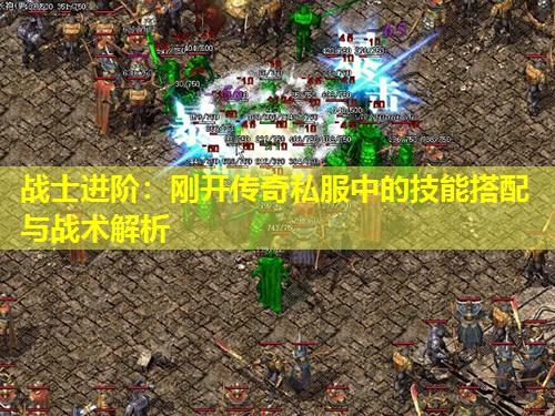 战士进阶：刚开传奇私服中的技能搭配与战术解析